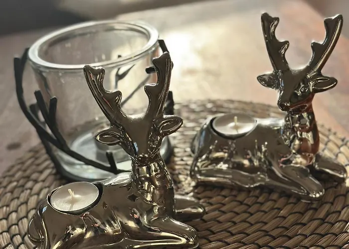 Appartamento Kleine Harz Oase - Rodelbahn Und Piste Fusslaeufig *